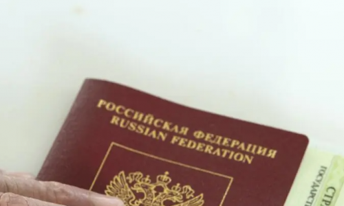 Хранить СНИЛС в обложке паспорта крайне опасно: названа весомая причина